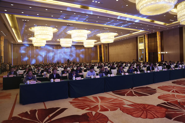 1574134478433289.jpg _N7A0164.jpg